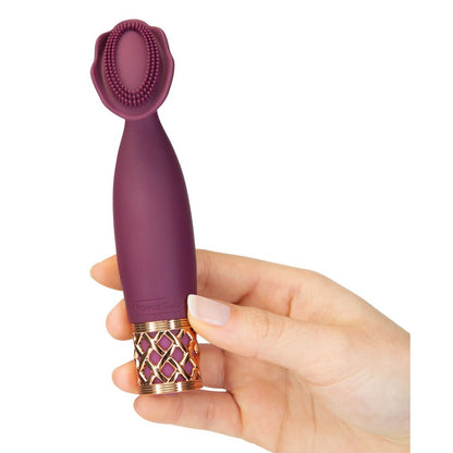 Pillow Talk Secrets Passion Mini Massager - Barons Touch