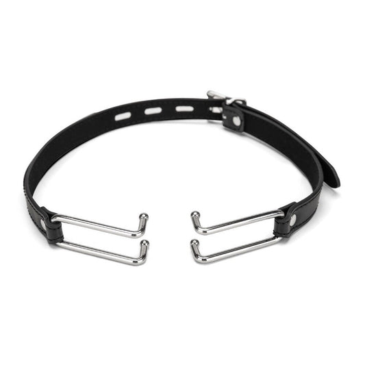 Me You Us Spider Stretch Gag 2 - Barons Touch